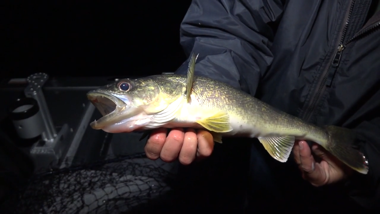 Hubbard Lake Night "Bight" episode thumbnail