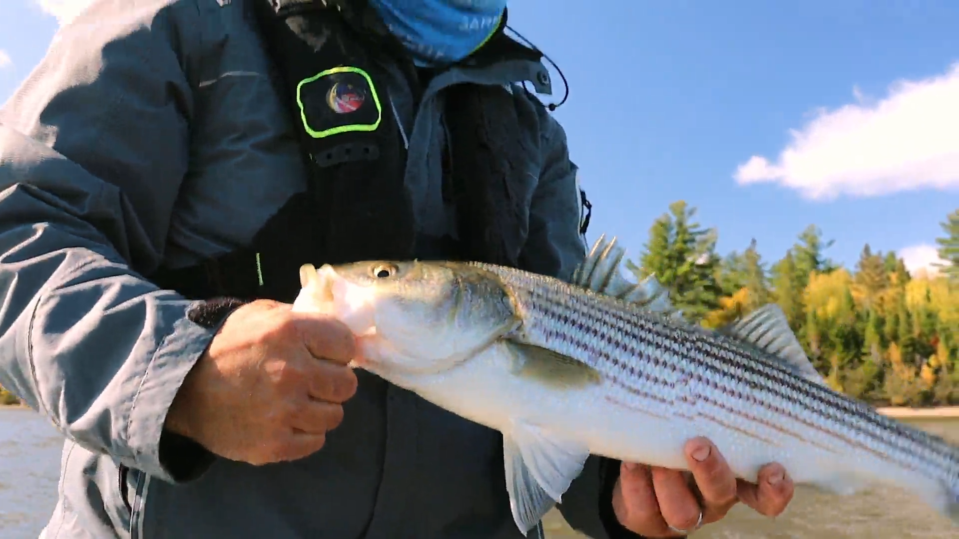 Second Season Stripers episode thumbnail