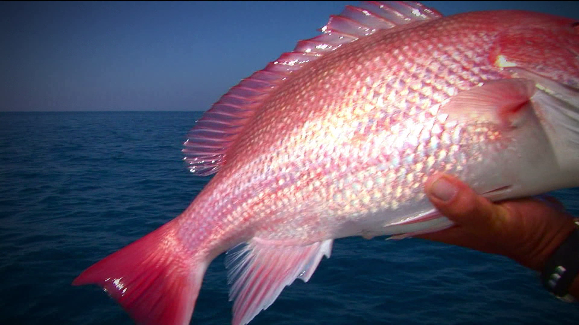 Season 12, Episode 4 episode thumbnail