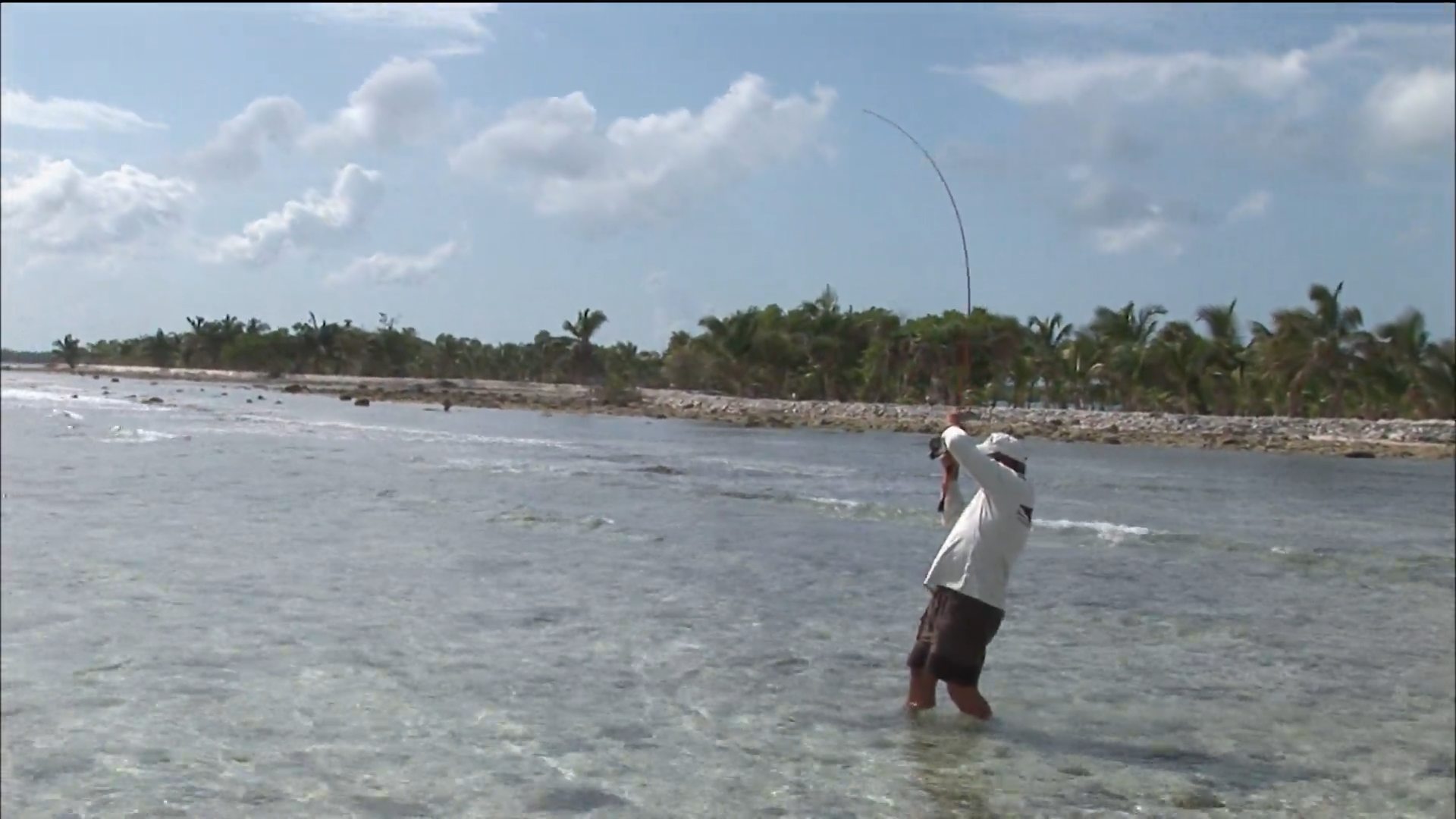 Belize Triggerfish episode thumbnail