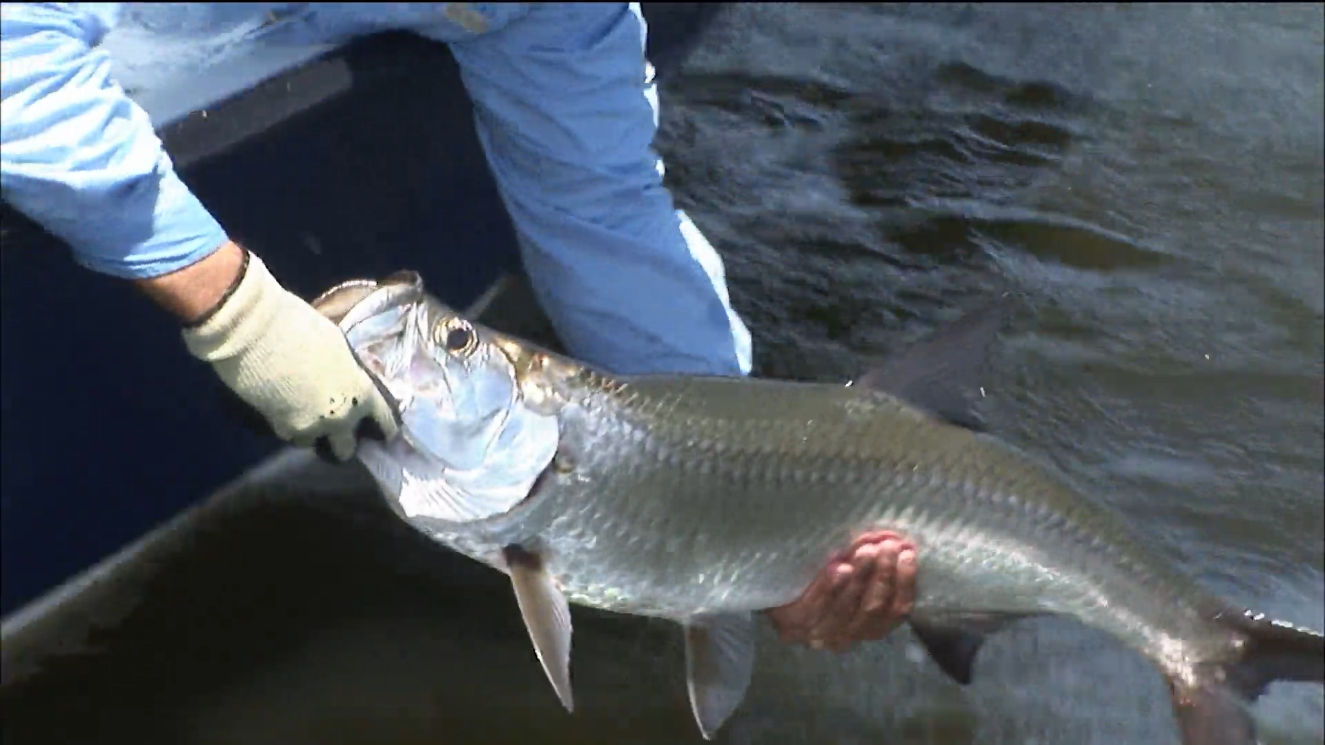 Puerto Rico Tarpon episode thumbnail