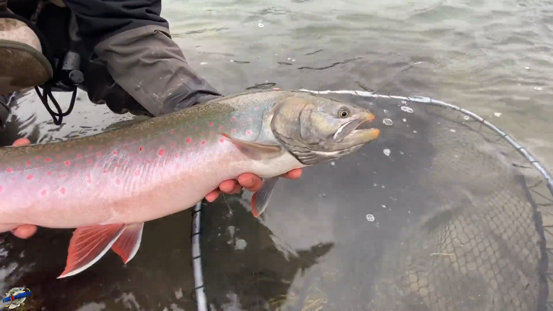 Arctic Char: Tree River Staycation - Part 1 episode thumbnail