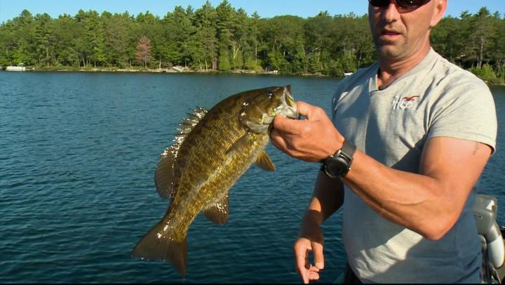 Skootamata episode thumbnail