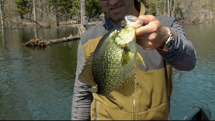 Springtime Crappie episode thumbnail