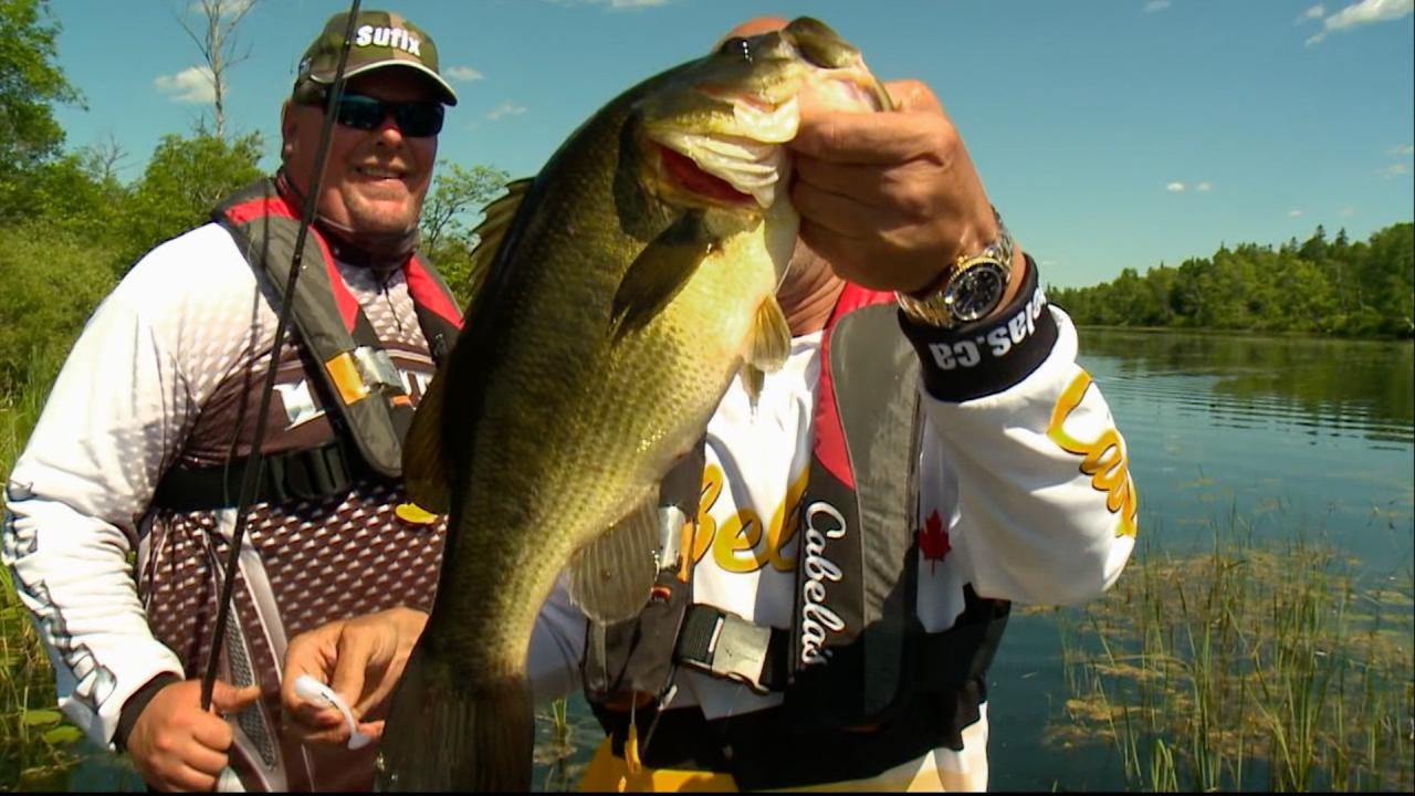 West Arm Bass episode thumbnail