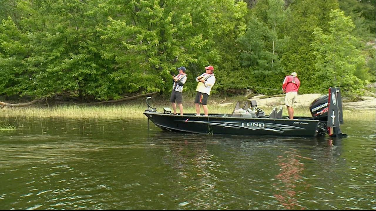 Bears Den episode thumbnail