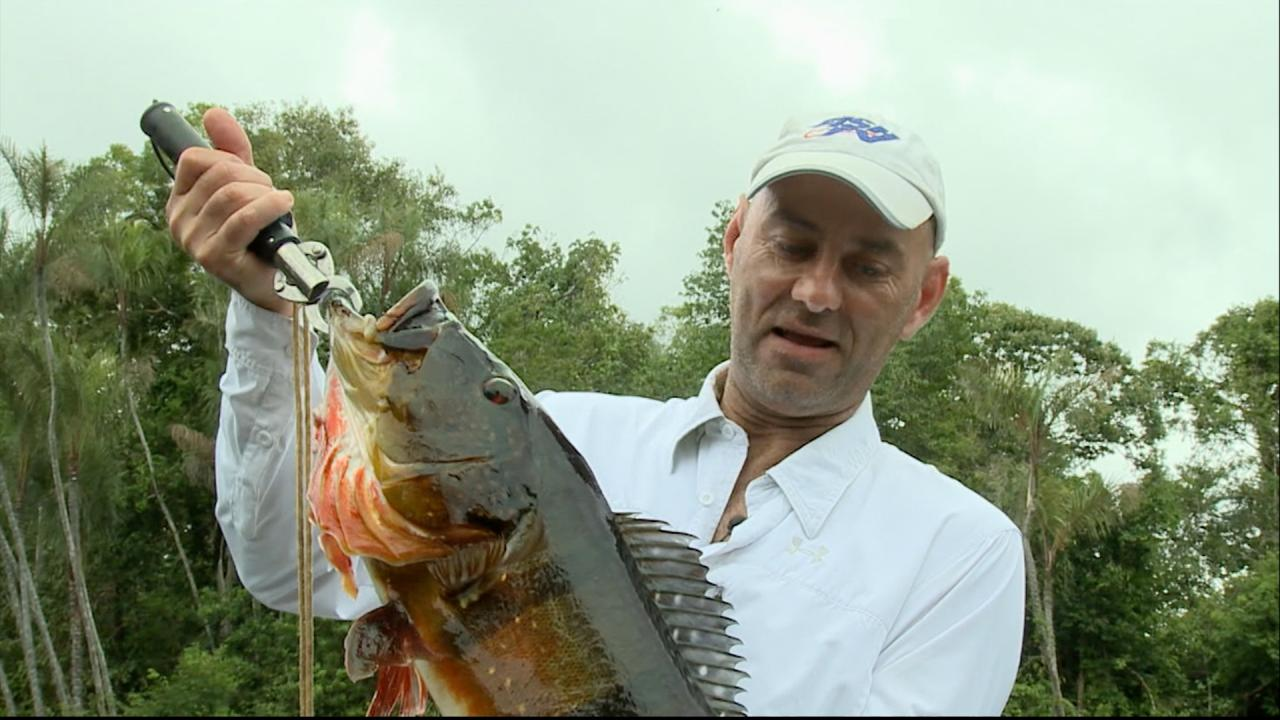 Amazon Part 1 episode thumbnail