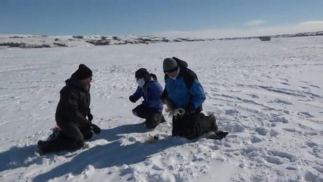 Predators Beneath the Ice episode thumbnail