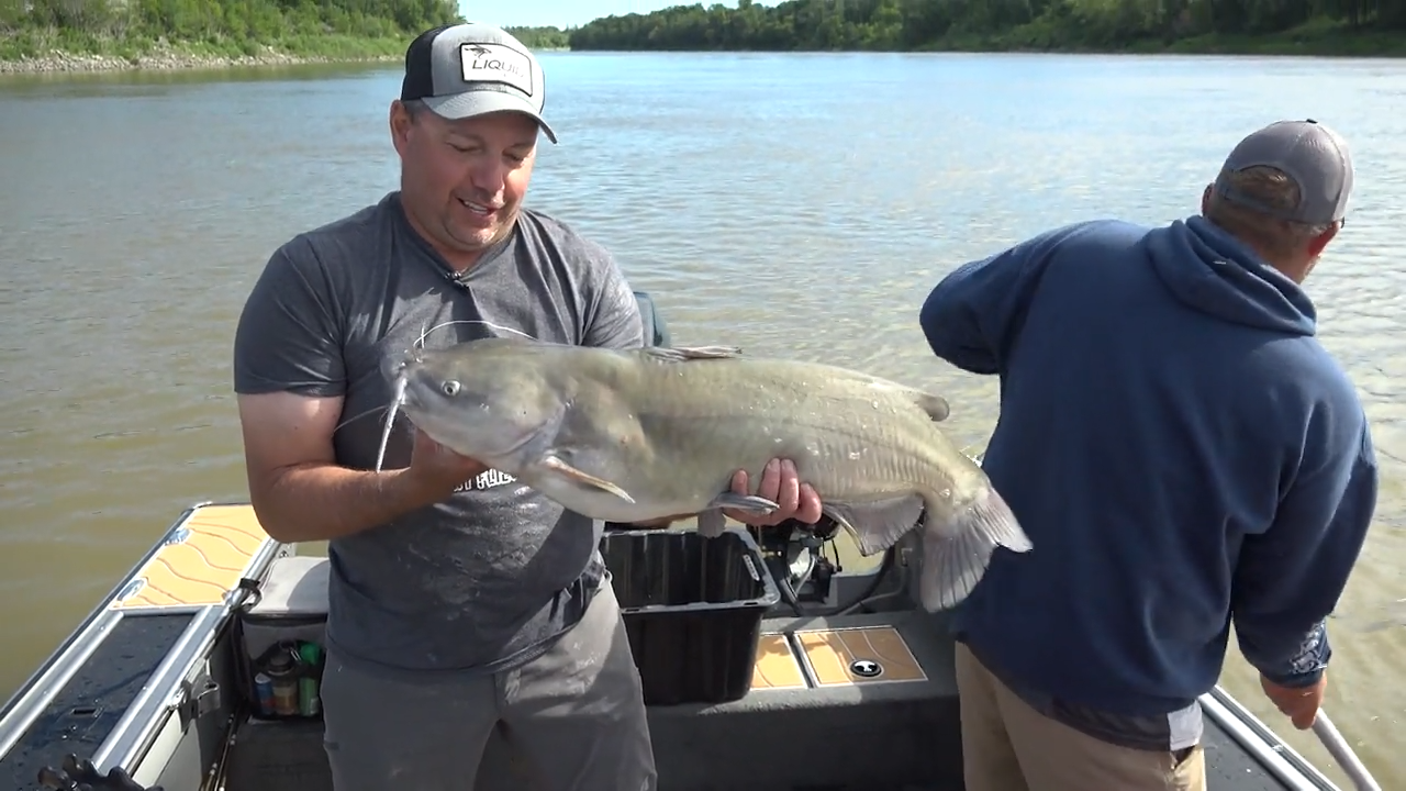 Red River Cats episode thumbnail