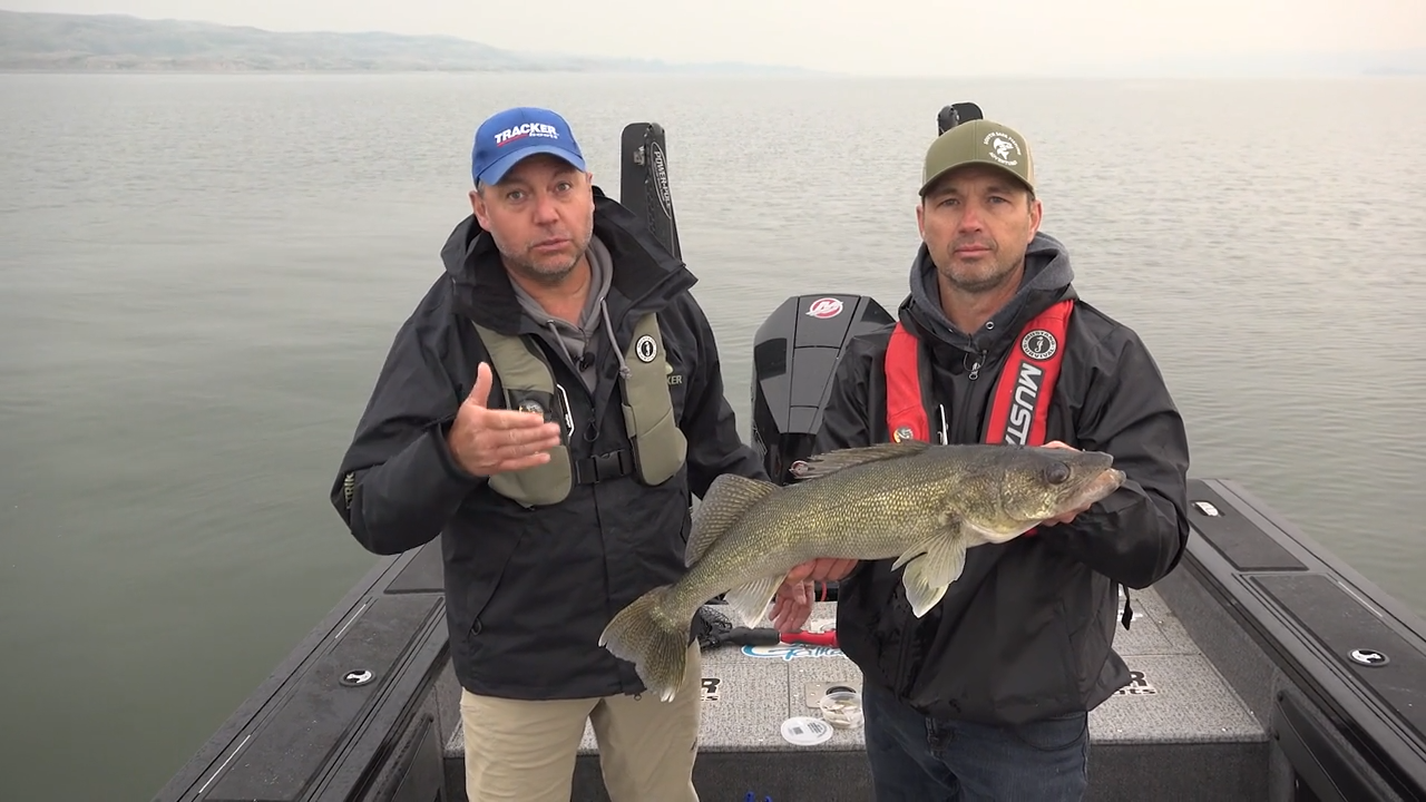 South Sask Walleye episode thumbnail