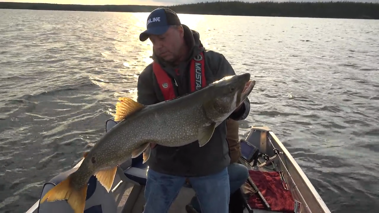 Stockman’s Lodge episode thumbnail