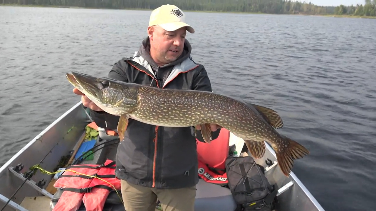 Nordic Lodge episode thumbnail