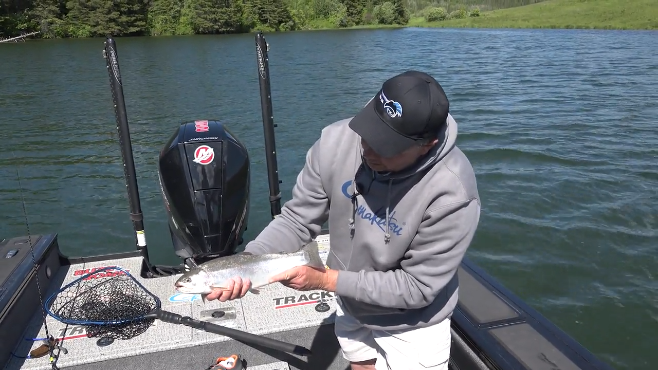 Alberta Stocked Trout episode thumbnail