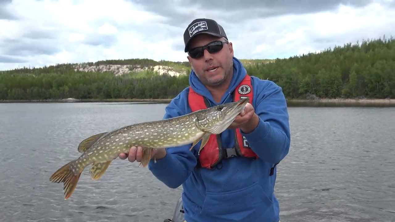 ADI Hickson episode thumbnail