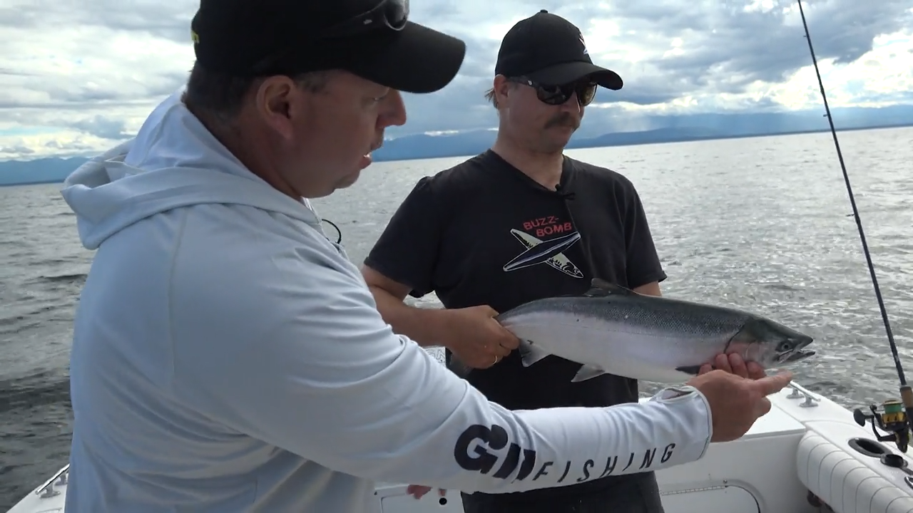 BuzzBomb episode thumbnail