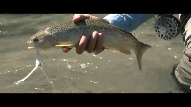 Surface episode thumbnail