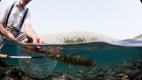 Pure High episode thumbnail