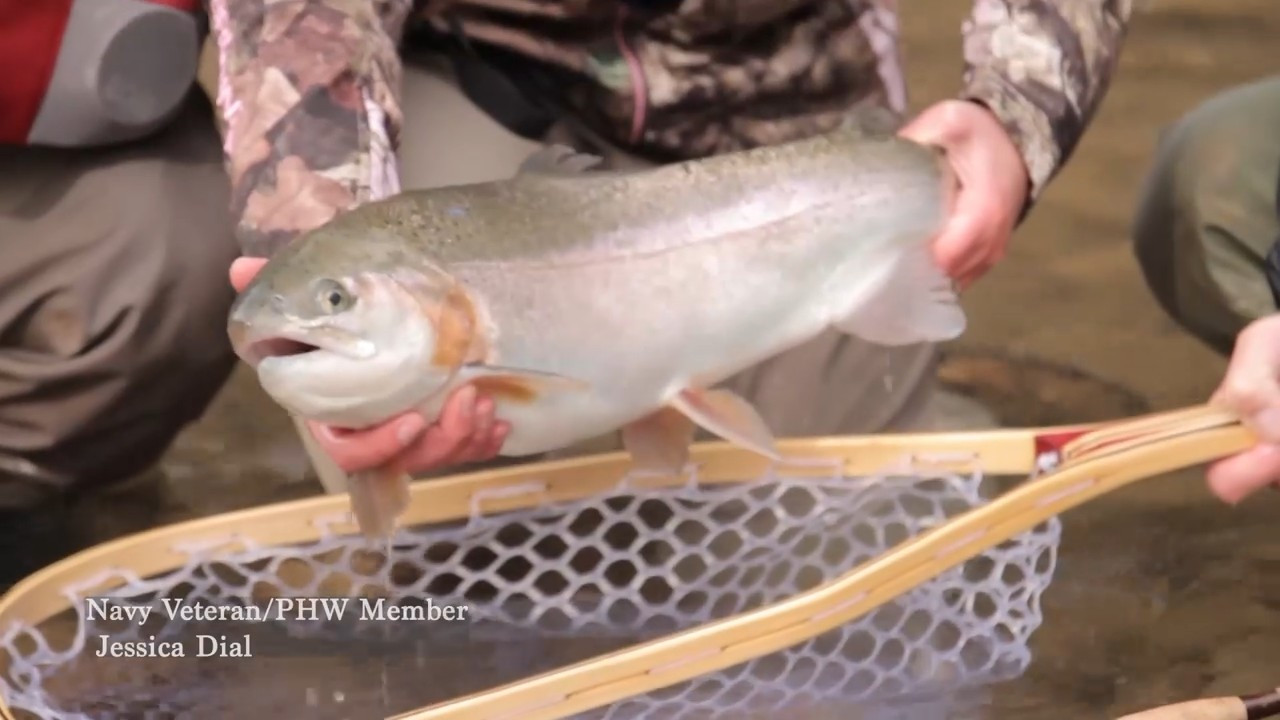 Big Bad Betsy episode thumbnail