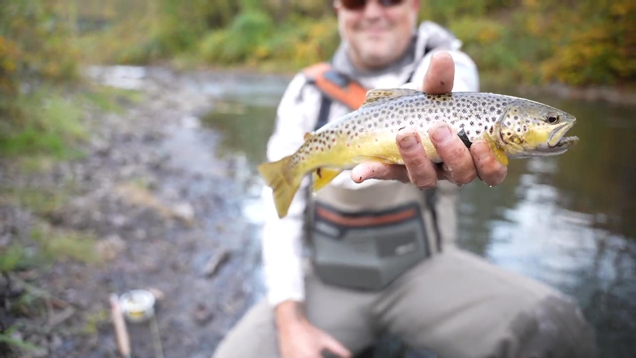 Tributaries of the Tug: Trout episode thumbnail