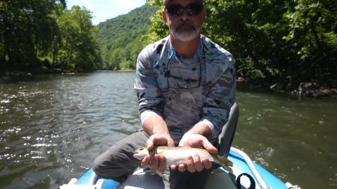 North Branch River - WV vs. Maryland episode thumbnail