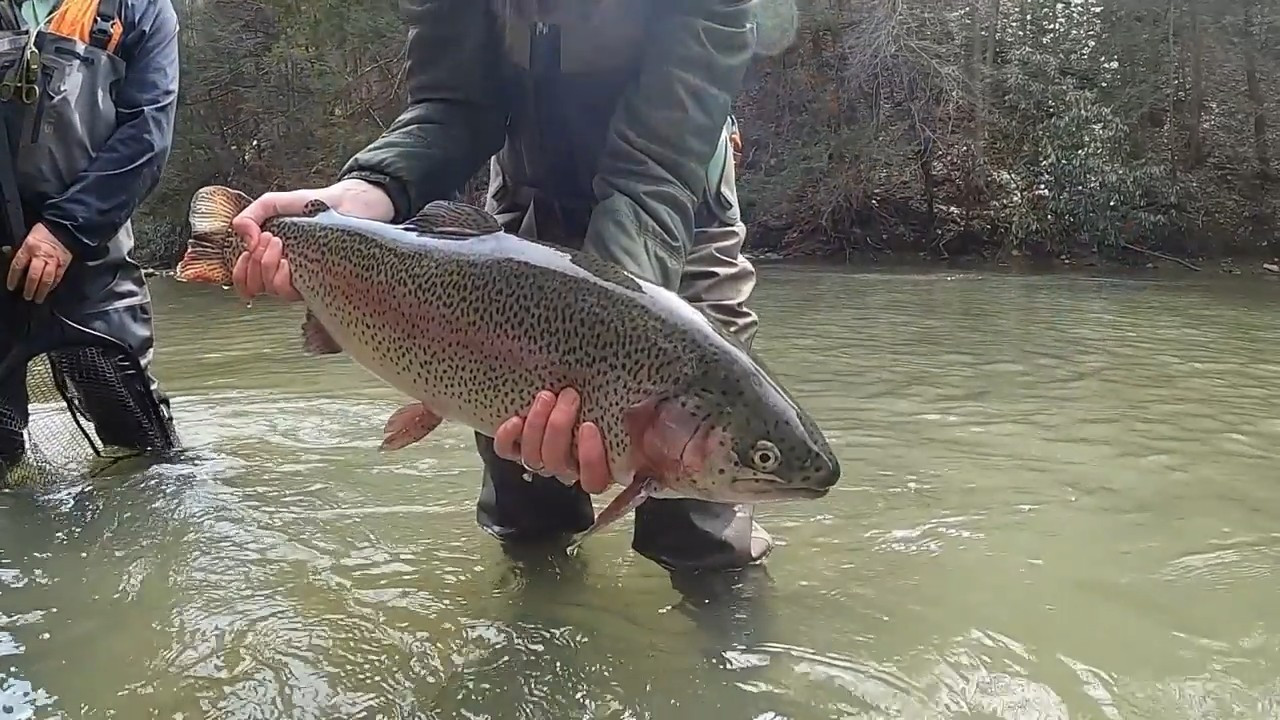 Chasing Pigs on a Fly with My Daughter Autumn in PA episode thumbnail