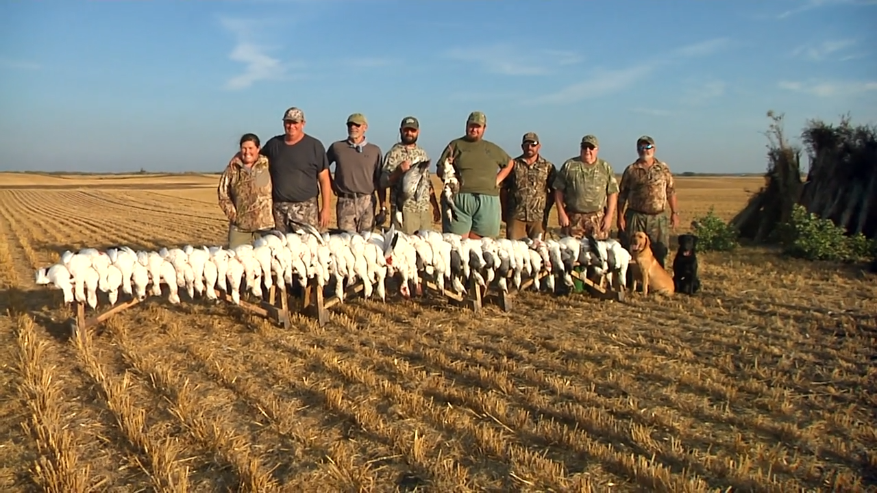 Saskatchewan Skies episode thumbnail