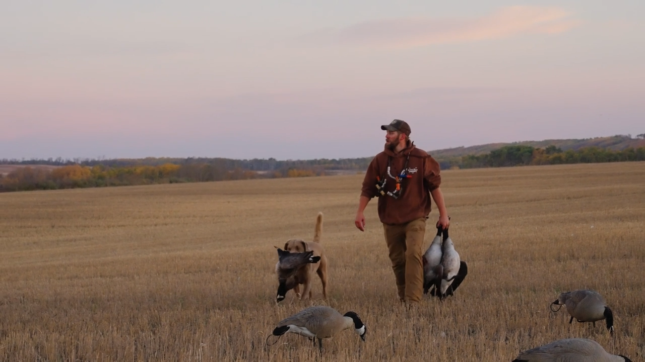 Fall Showdown episode thumbnail