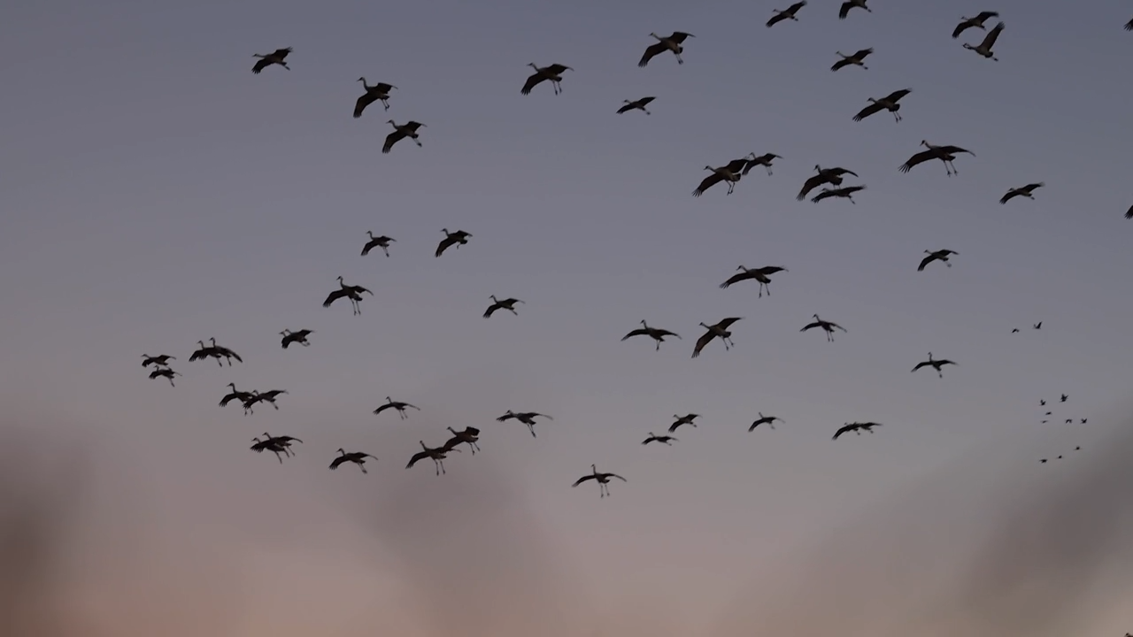 The Mixer episode thumbnail