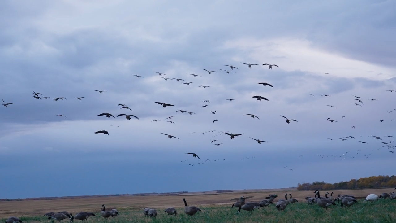 Best of the Best episode thumbnail