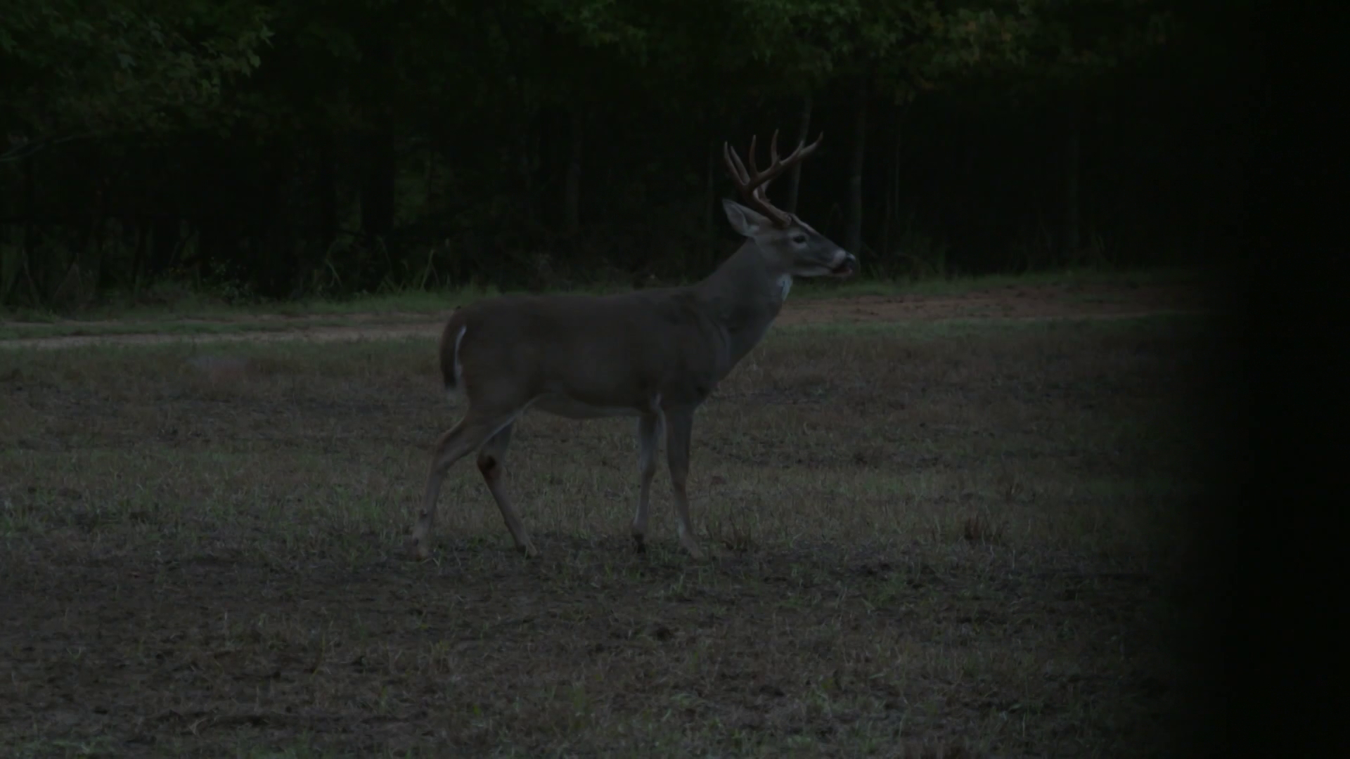 Coyote Ugly episode thumbnail
