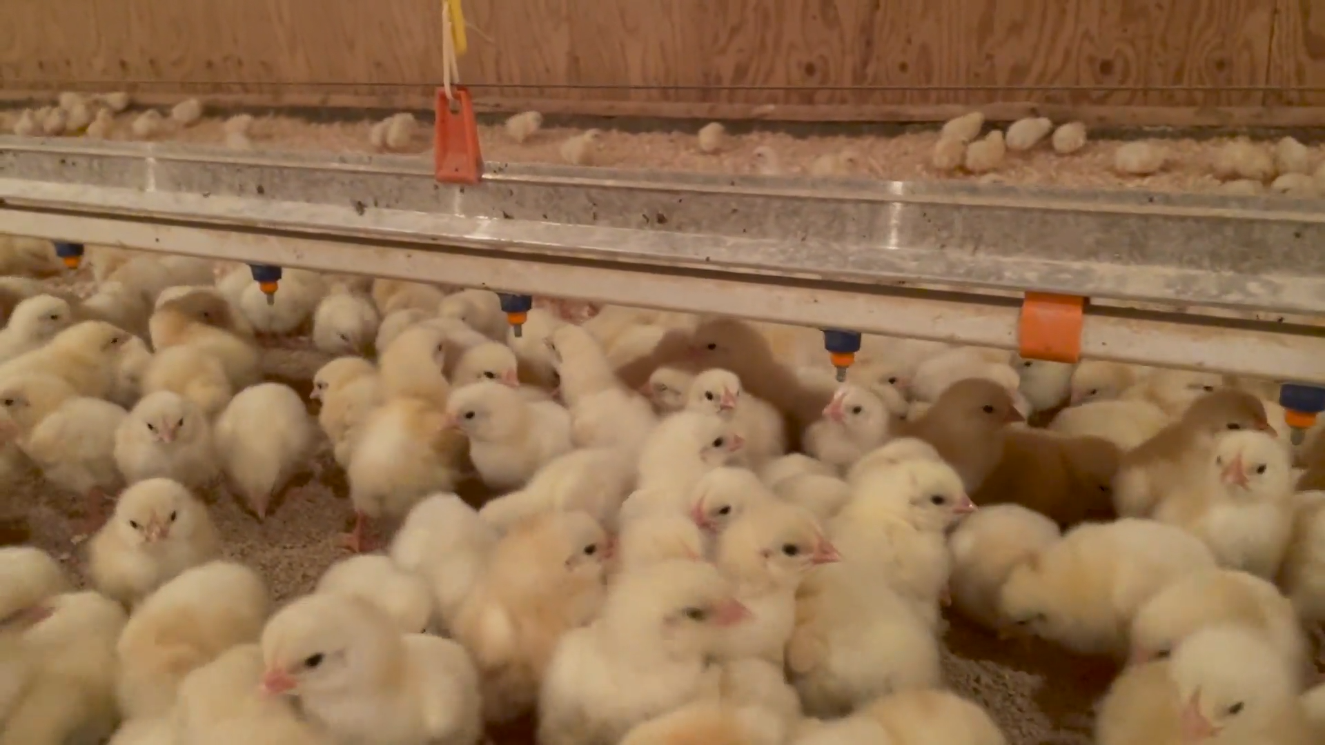 Episode 1 episode thumbnail