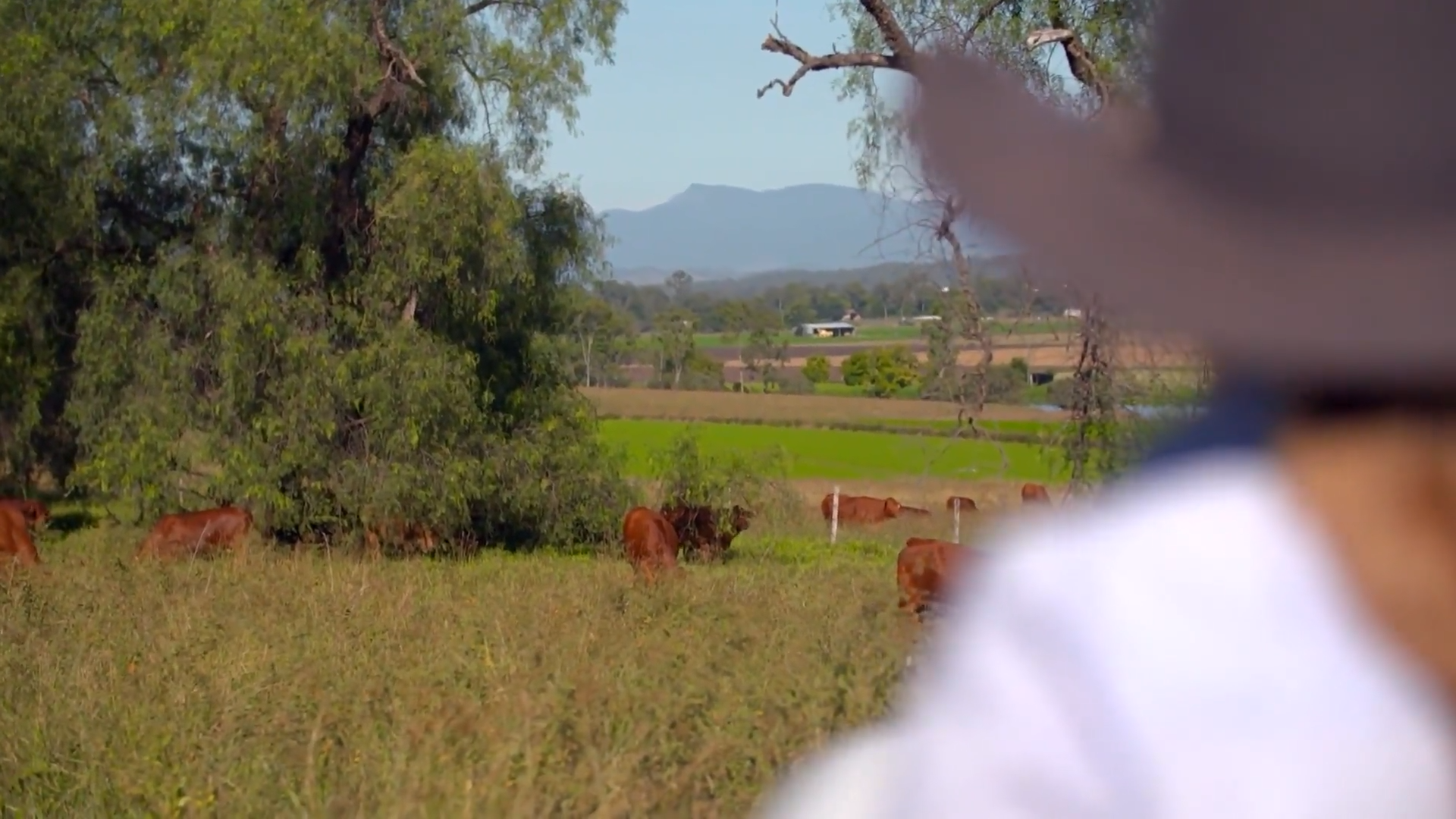 Making Data Collection Easy episode thumbnail