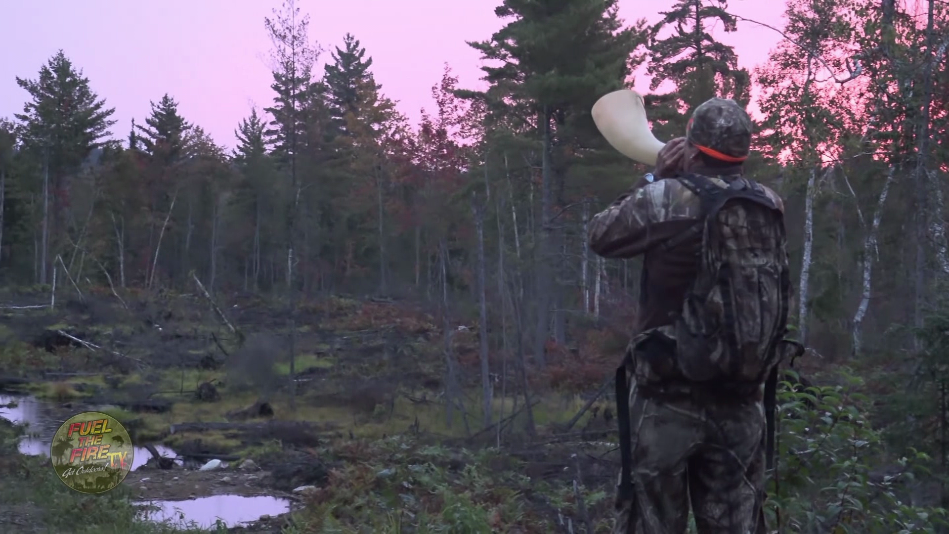 Moose Close Calls episode thumbnail