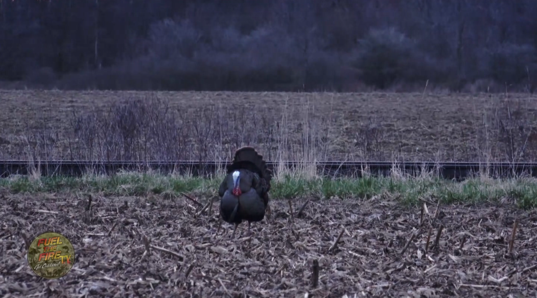 JR Wetlands Sweepstakes episode thumbnail