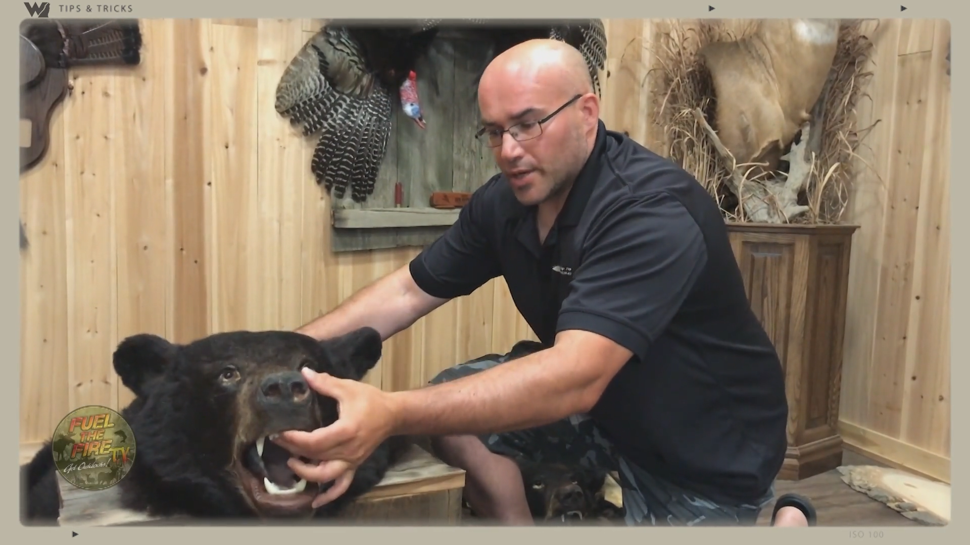 Avoid Bacteria Growth on Your Bear Hide episode thumbnail