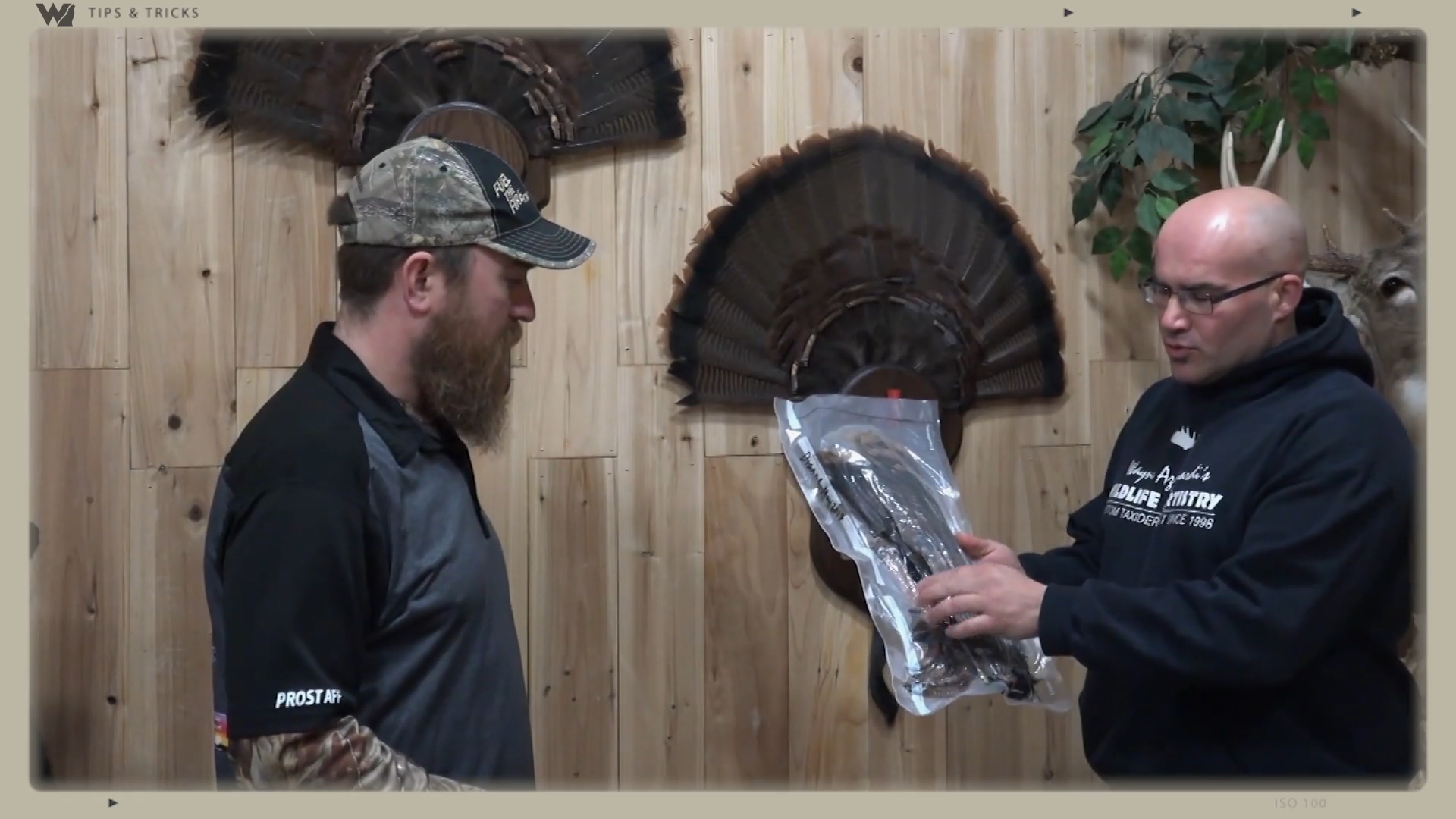 How to Prep Your Turkey for the Taxidermist episode thumbnail