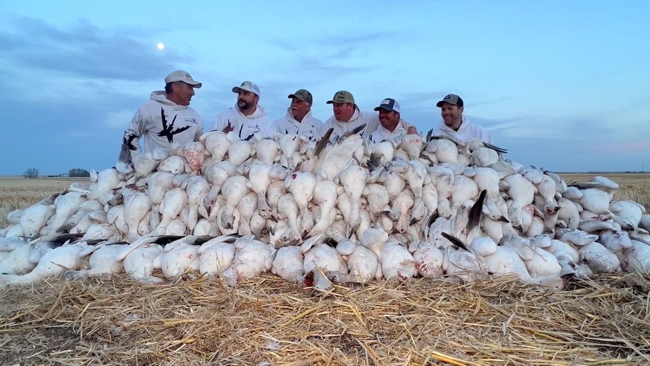 Fully Flocked Marathon 2024 episode thumbnail