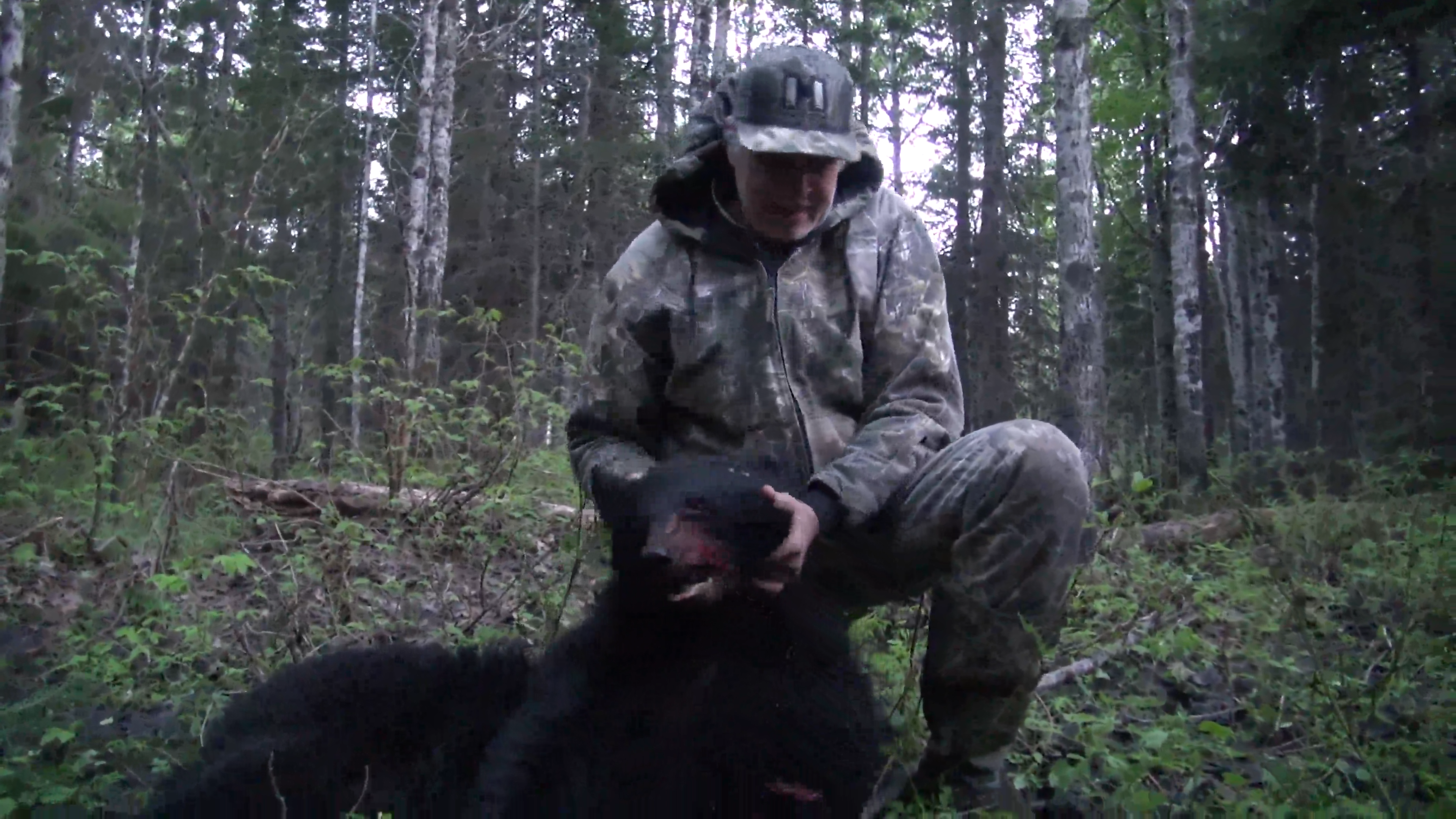 New Brunswick Bear Hunt - Part 2 episode thumbnail