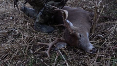 Jeff's Deer Season episode thumbnail