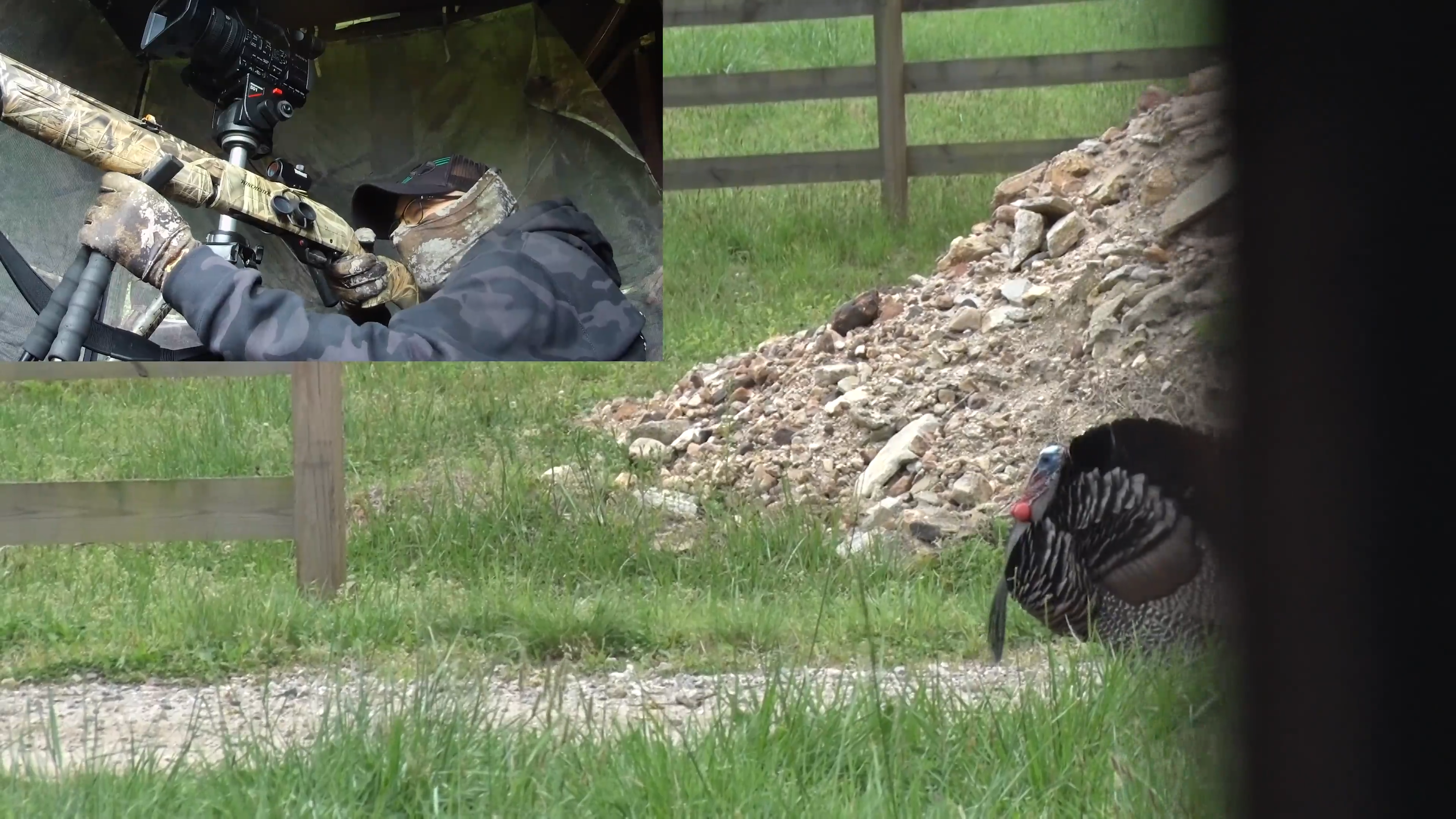 Palmetto Gobblers - Part 2 episode thumbnail
