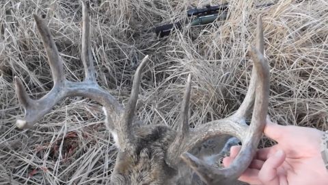 Montana Madness - Part 2 episode thumbnail