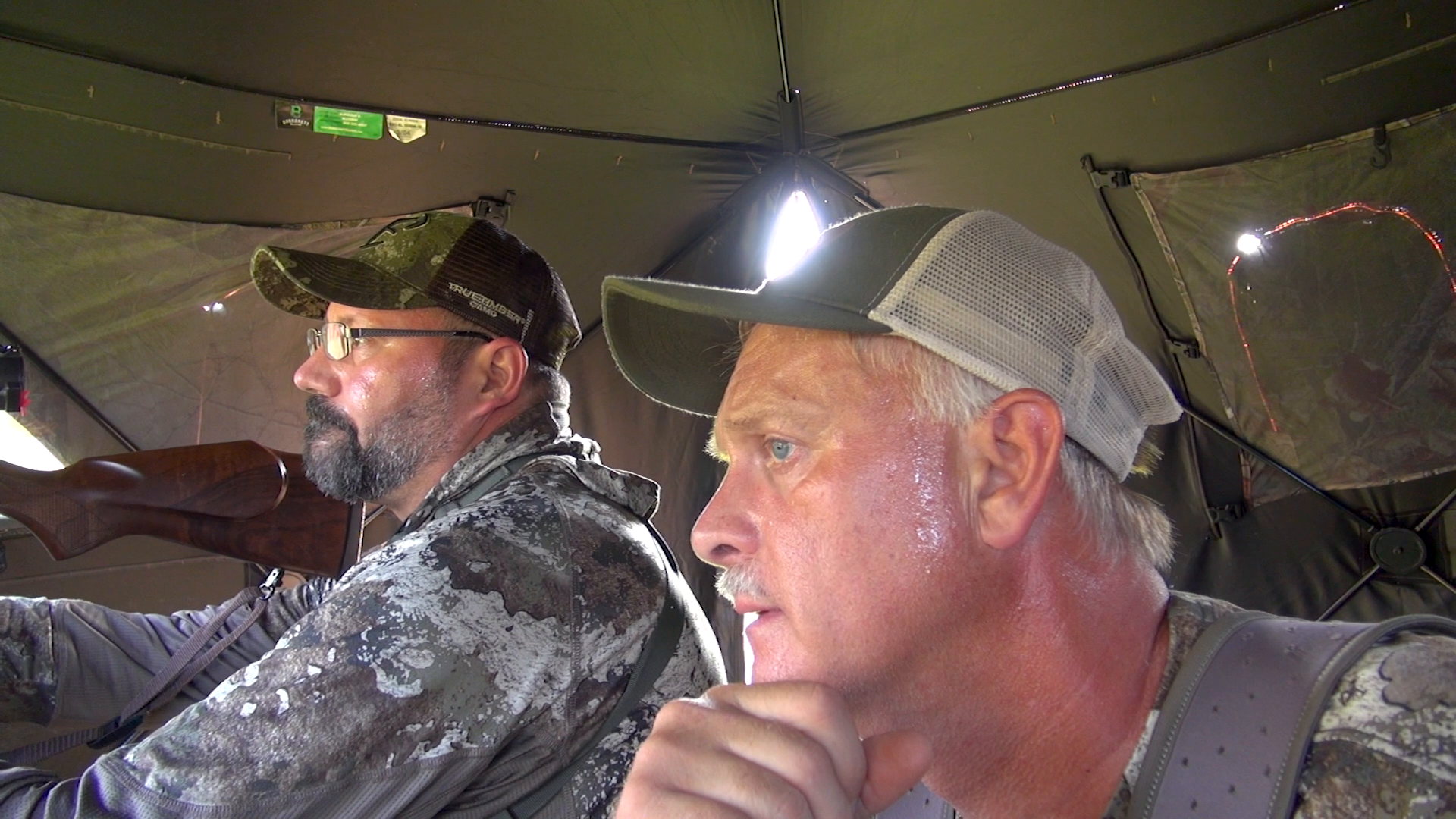 All Season Whitetails episode thumbnail