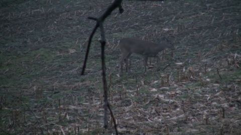 The Rightmyer Ranch episode thumbnail
