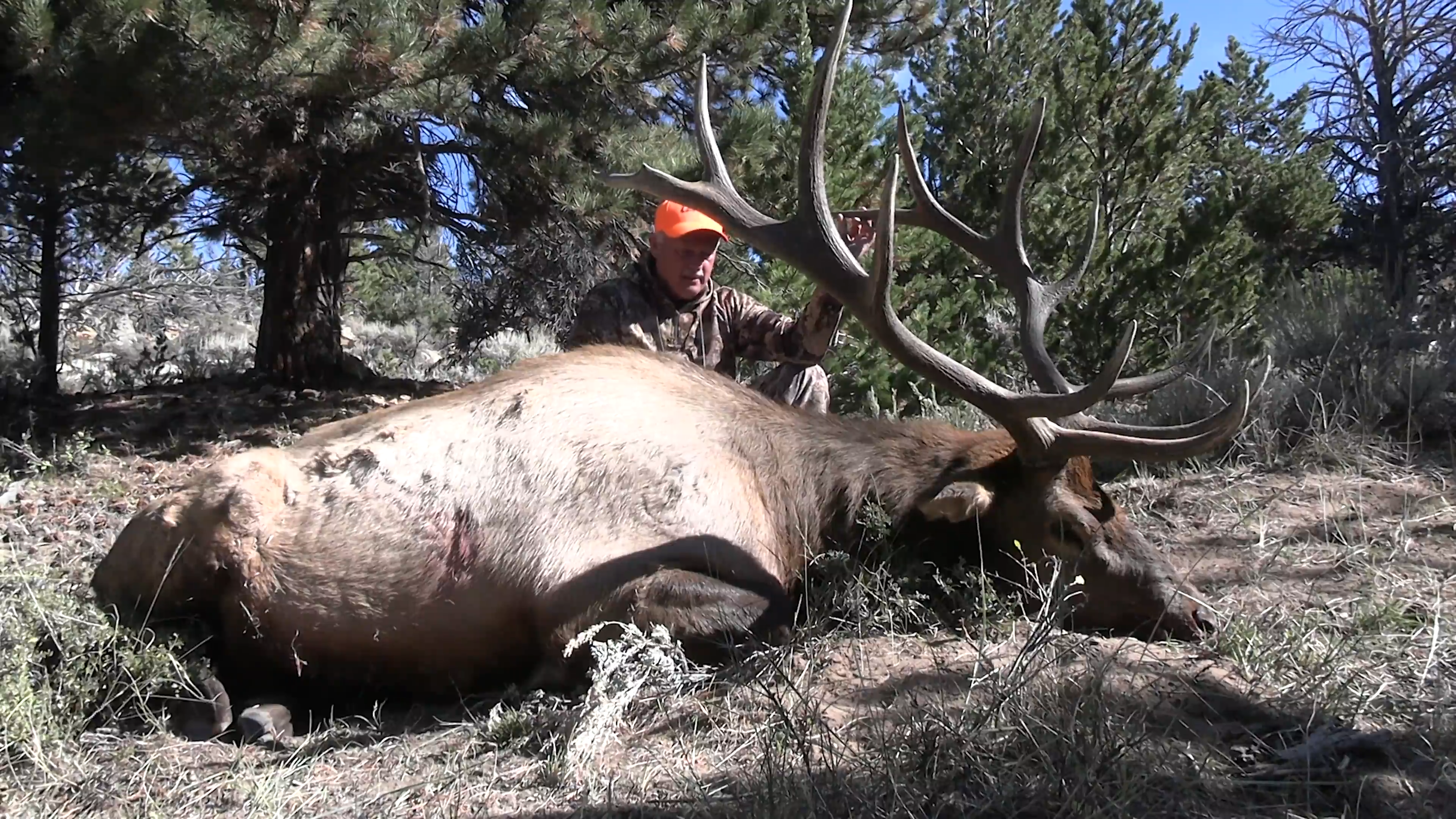 Elk Fever episode thumbnail