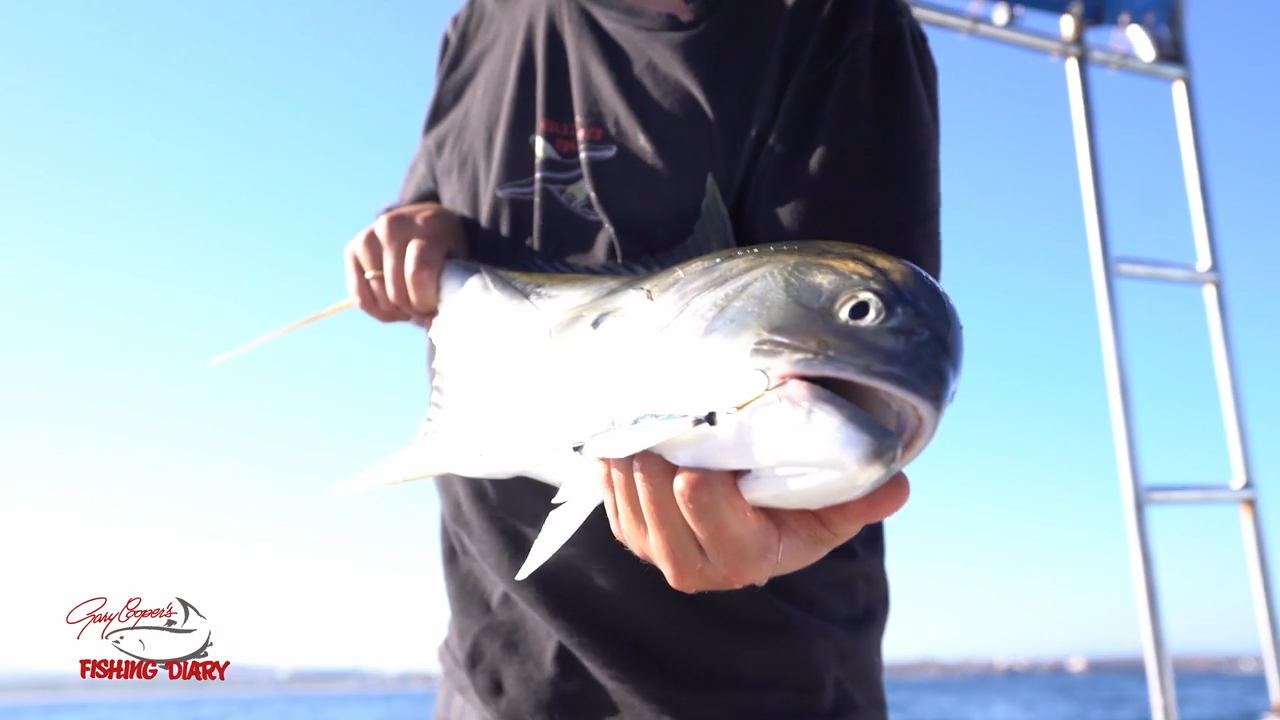 Sayulita Mexico episode thumbnail