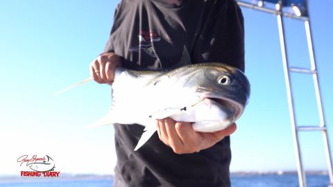 Sayulita Mexico episode thumbnail