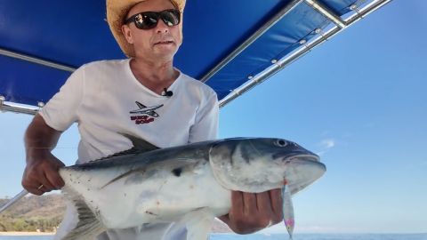 Mexican Crevalle Jack episode thumbnail