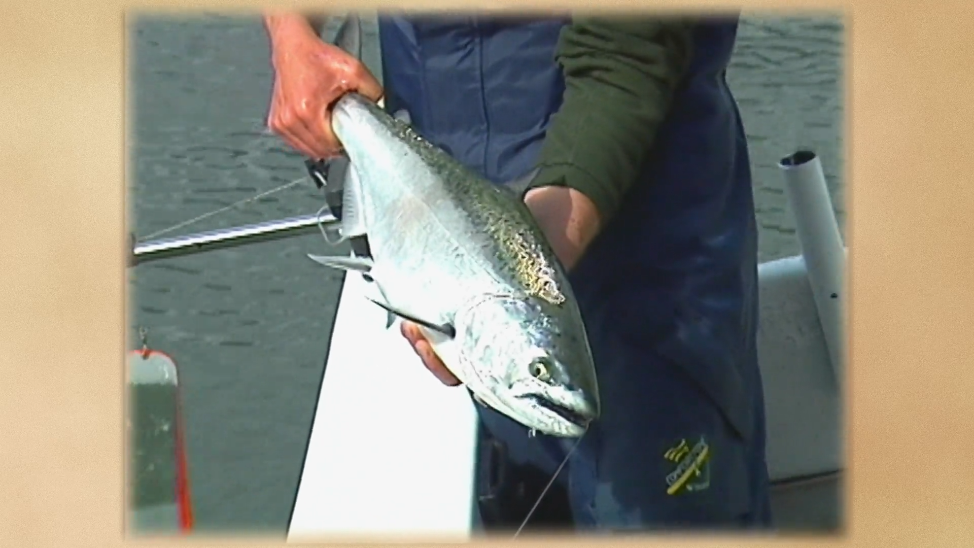 Knight Inlet episode thumbnail
