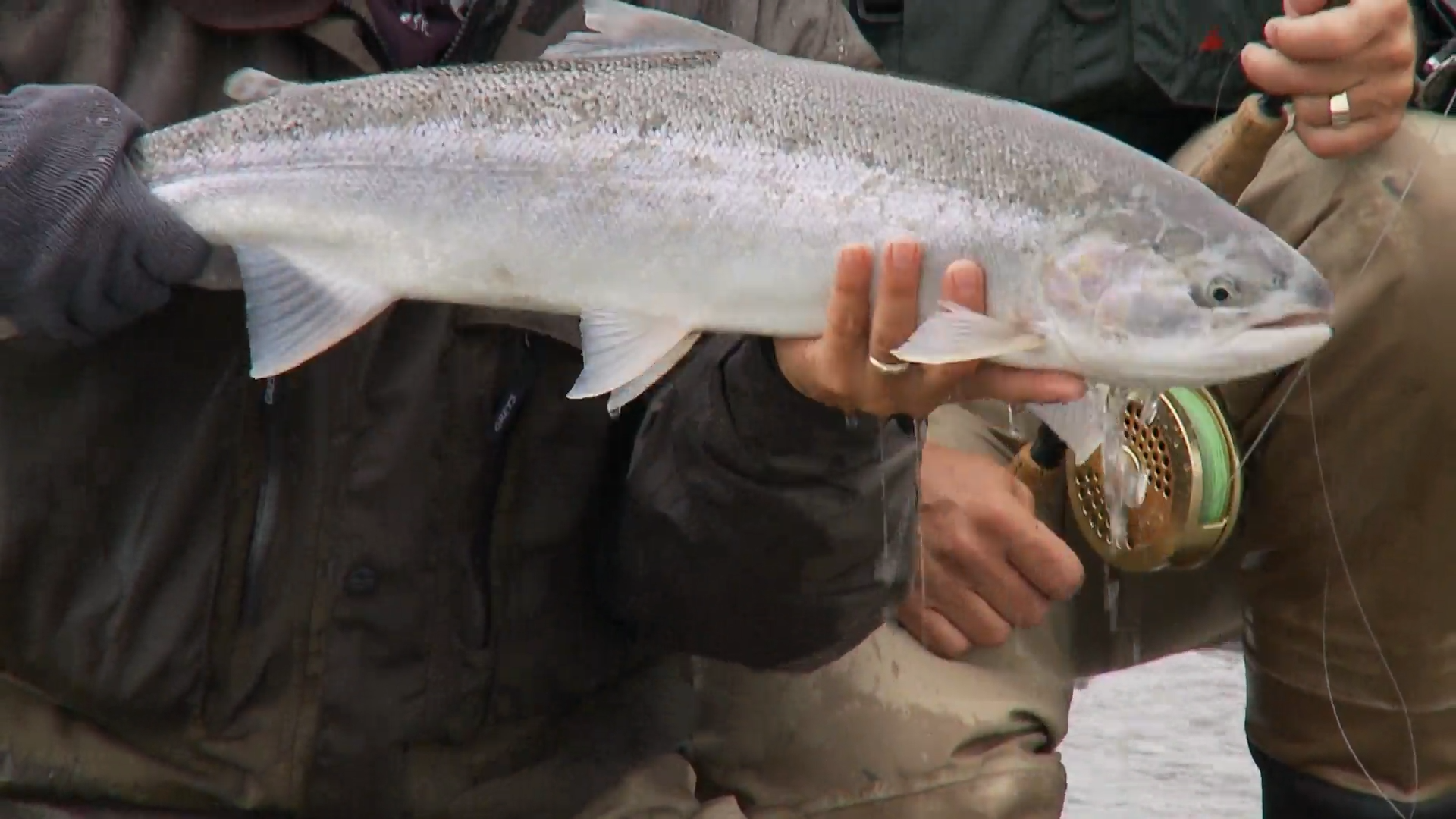 Fishing Legends episode thumbnail