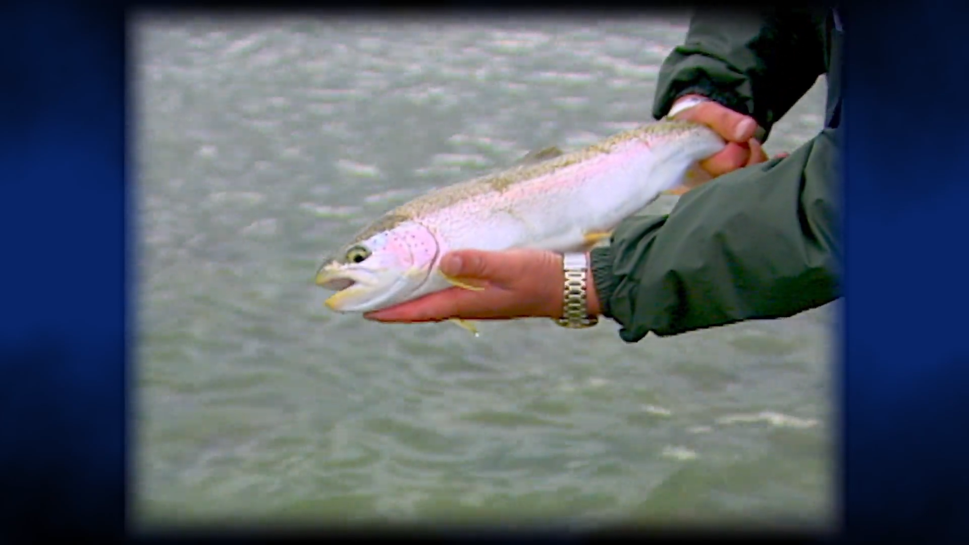 Zzinging for Rainbows episode thumbnail